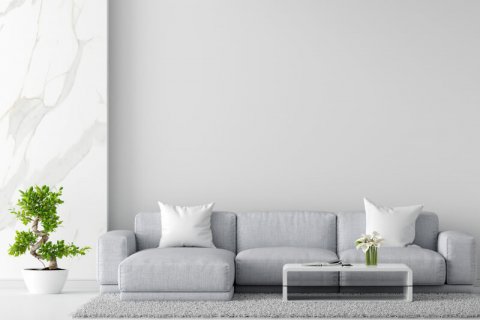 يشهد قطاع العقارات في الشارقة نموا كبيرا: مدير عام دائرة التسجيل العقاري