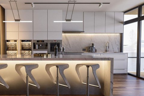 تتطلب دولة الإمارات العربية المتحدة الإبلاغ عن المعاملات العقارية للأصول النقدية أو الافتراضية