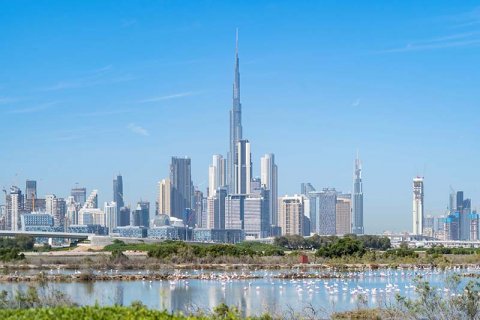 How to Get a UAE Work Visa?