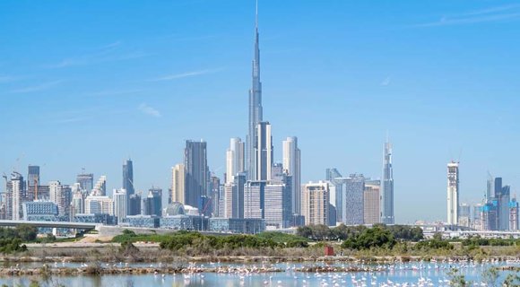 Как получить рабочую визу в ОАЭ