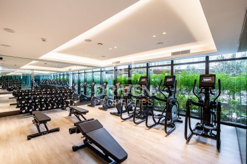阿联酋 Dubai Downtown Dubai (Downtown Burj Dubai) 待租 : 3 卧, 145 平方米 , 编号603282 - 照片 24