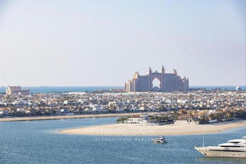 Byt v Dubai Harbour, Dubai, SAE 3 ložnice, 178.9 m² Č.: 538109 - fotografie 52