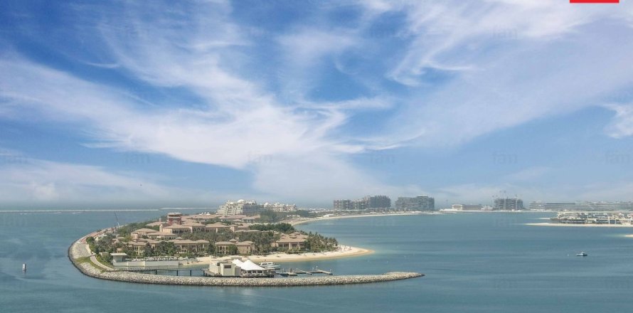 阿联酋 Dubai Dubai Harbour 公寓  3 卧, 217.3 平方米 , 编号 596252