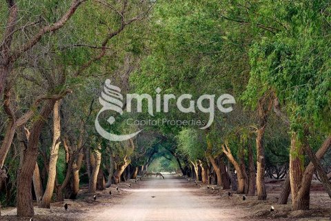 Vilë në Ghantoot, Abu Dhabi, Emiratet e Bashkuara Arabe 3 dhoma gjumi, 422 m2. № 597335 - Foto 1