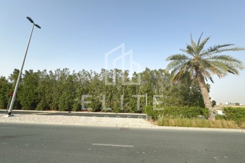 Land in Jumeirah Village Circle, Dubai, UAE № 620274 - photo 6