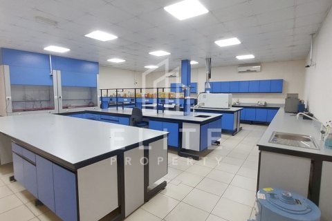 Hamriyah Free Zone、Sharjah、UAE にある工場販売中 2052 m2、No620275 - 写真 16