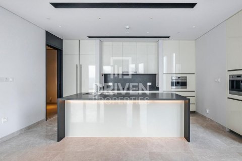 阿联酋 Dubai Downtown Dubai (Downtown Burj Dubai) 待租 : 4 卧, 492 平方米 , 编号603268 - 照片 10