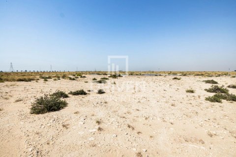 Pozemek v Dubai, SAE 4188 m² Č.: 602950 - fotografie 10