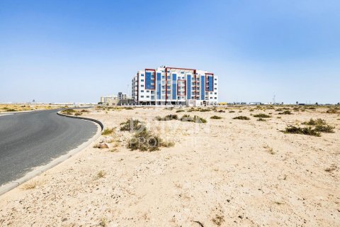 Pozemek v Dubai, SAE 4188 m² Č.: 602950 - fotografie 1