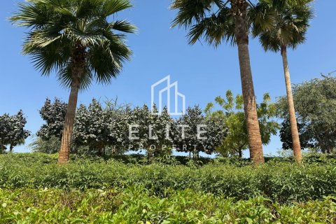 וילה למכירה ב Tilal Al Ghaf, Dubai, איחוד האמירויות  3 חדרי שינה, מספר 623562 - תמונה 1