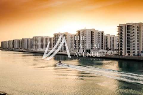 阿联酋 Abu Dhabi Yas Island 待租 : 2 卧, 100 平方米 , 编号604684 - 照片 1