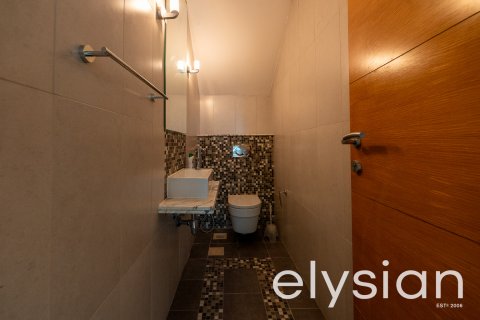 Vila v Jumeirah Park, Dubai, SAE 4 ložnice, 325 m² Č.: 586138 - fotografie 12