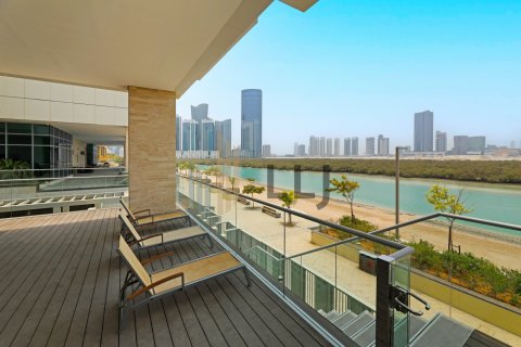Byt v Al Reem Island, Abu Dhabi, SAE 3 ložnice, 453.3 m² Č.: 595665 - fotografie 18