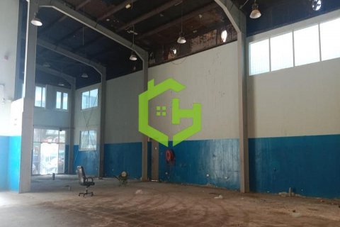 Sklad v Al Qusais, Dubai, SAE 929 m² Č.: 616592 - fotografie 1