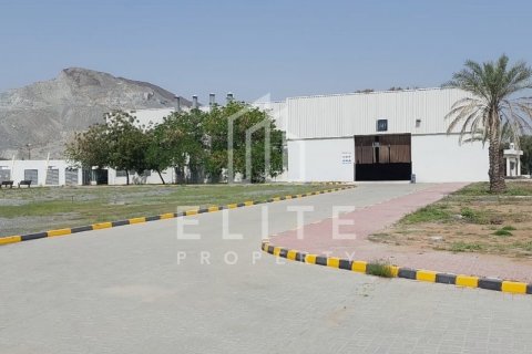 Sklad v Fujairah, SAE 8765 m² Č.: 620174 - fotografie 14