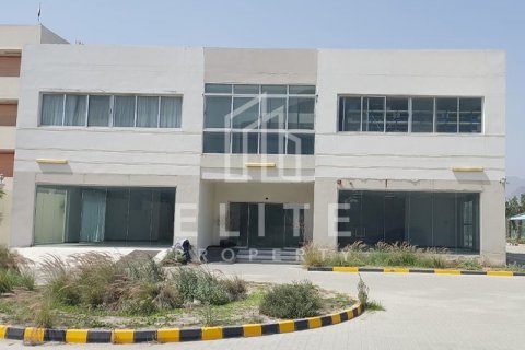 Sklad v Fujairah, SAE 8765 m² Č.: 620174 - fotografie 3