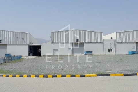 Sklad v Fujairah, SAE 8765 m² Č.: 620174 - fotografie 13