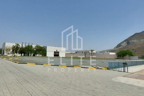 Sklad v Fujairah, SAE 8765 m² Č.: 620174 - fotografie 19