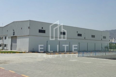 Sklad v Fujairah, SAE 8765 m² Č.: 620174 - fotografie 5