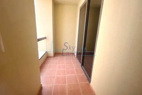 Byt v Jumeirah Beach Residence, Dubai, SAE 3 ložnice, 246.5 m² Č.: 632028 - fotografie 10