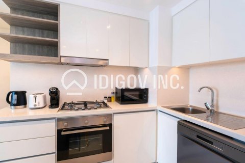 Apartmán v Downtown Dubai (Downtown Burj Dubai), Dubai, SAE 1 spálňa, 69 m2 č. 600357 - Fotografia 19