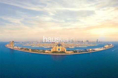 Palm Jumeirah、Dubai、UAE にある二世帯用住宅販売中 4ベッドルーム、924 m2、No626345 - 写真 3