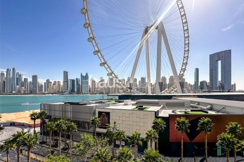阿联酋 Dubai Bluewaters 待租 : 2 卧, 123 平方米 , 编号626509 - 照片 6
