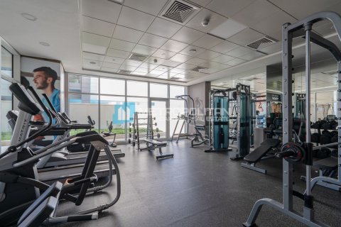 阿联酋 Abu Dhabi Al Reem Island 待售 : 1 卧, 71 平方米 , 编号594789 - 照片 11