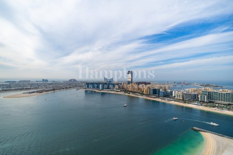 Lägenhet uthyres i Dubai Harbour, Dubai, UAE 1 sovrum, 81.69982723 kvm Nr. 584153 - fotografi 4