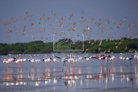 Land in Al Zorah, Ajman, UAE 949.9 sq.m. № 591686 - photo 8