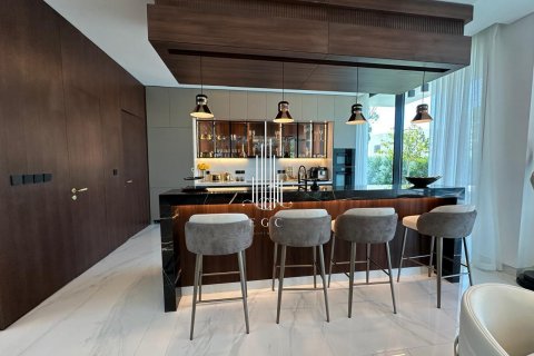 Vila v Ghantoot, Abu Dhabi, SAE 6 ložnice, 750 m² Č.: 577694 - fotografie 8