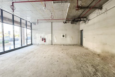 Obchod v Arjan, Dubai, SAE 266.6 m² Č.: 569257 - fotografie 2