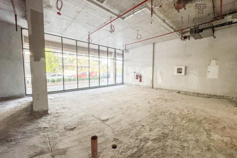 Obchod v Arjan, Dubai, SAE 266.6 m² Č.: 569257 - fotografie 3