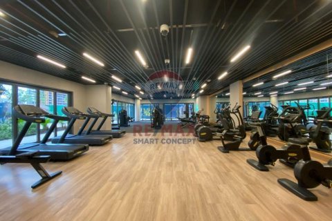 阿联酋 Dubai City Walk 待租 : 1 卧, 87.3 平方米 , 编号590764 - 照片 22