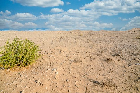 Tokë në Yas Island, Abu Dhabi, Emiratet e Bashkuara Arabe 1005 m2. № 594585 - Foto 12