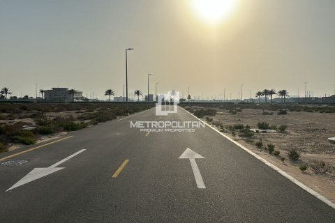Lupain sa Jebel Ali, Dubai, UAE 942 sq.m. № 593129 - larawan 20