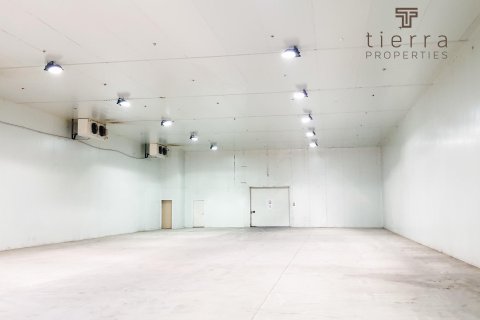 Sklad v Dubai, SAE 724.6 m² Č.: 569338 - fotografie 2