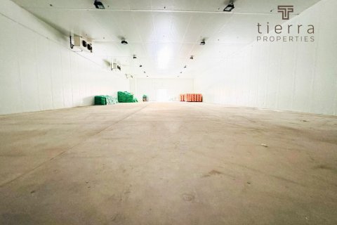 Sklad v Dubai, SAE 724.6 m² Č.: 569338 - fotografie 4