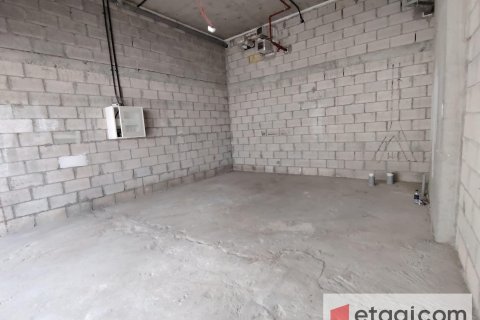 Obchod v Meydan, Dubai, SAE 61.8 m² Č.: 556524 - fotografie 4