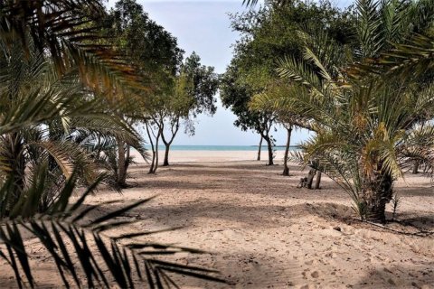 Land in Ghantoot, Abu Dhabi, UAE 756 sq.m. № 594785 - photo 5
