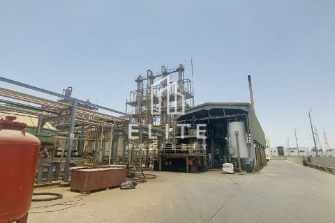 Factory in Sharjah, UAE 10000 sq.m. № 623547 - photo 29