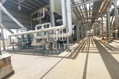 Factory in Sharjah, UAE 10000 sq.m. № 623547 - photo 4