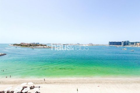阿联酋 Dubai Dubai Harbour 待租 : 2 卧, 106 平方米 , 编号627204 - 照片 17