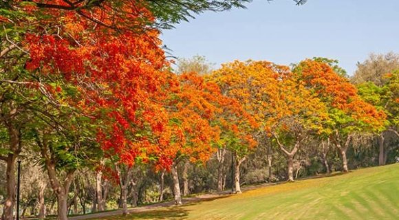 UAE golden visa by property investment in 2024