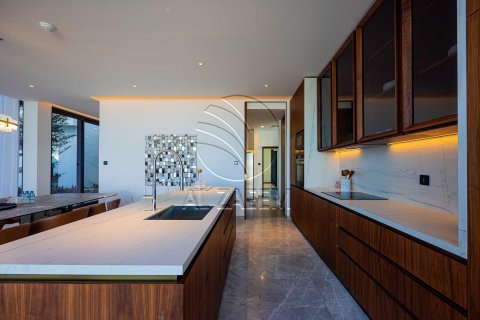 וילה למכירה ב Saadiyat Island, Abu Dhabi, איחוד האמירויות  6 חדרי שינה, 626 מ"ר, מספר 615821 - תמונה 8