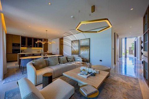 阿联酋 Abu Dhabi Saadiyat Island 待售 : 5 卧, 914 平方米 , 编号615817 - 照片 4