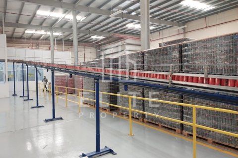 Warehouse in Dubai, UAE 5478 sq.m. № 620282 - photo 18