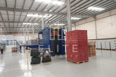 Warehouse in Dubai, UAE 5478 sq.m. № 620282 - photo 17