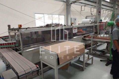 Warehouse in Dubai, UAE 5478 sq.m. № 620282 - photo 14
