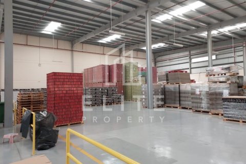 Warehouse in Dubai, UAE 5478 sq.m. № 620282 - photo 15